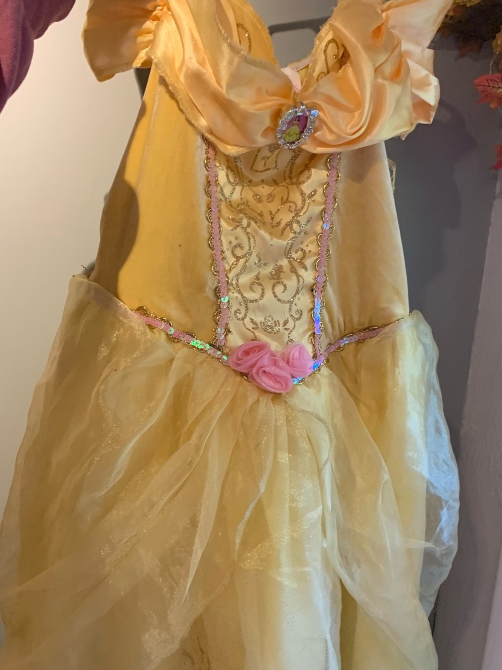 Disney Beauty and the Beast- Belle Costume